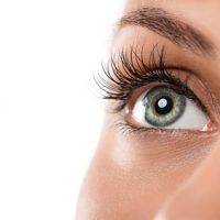 Wimpernwelle Wimpernwelle